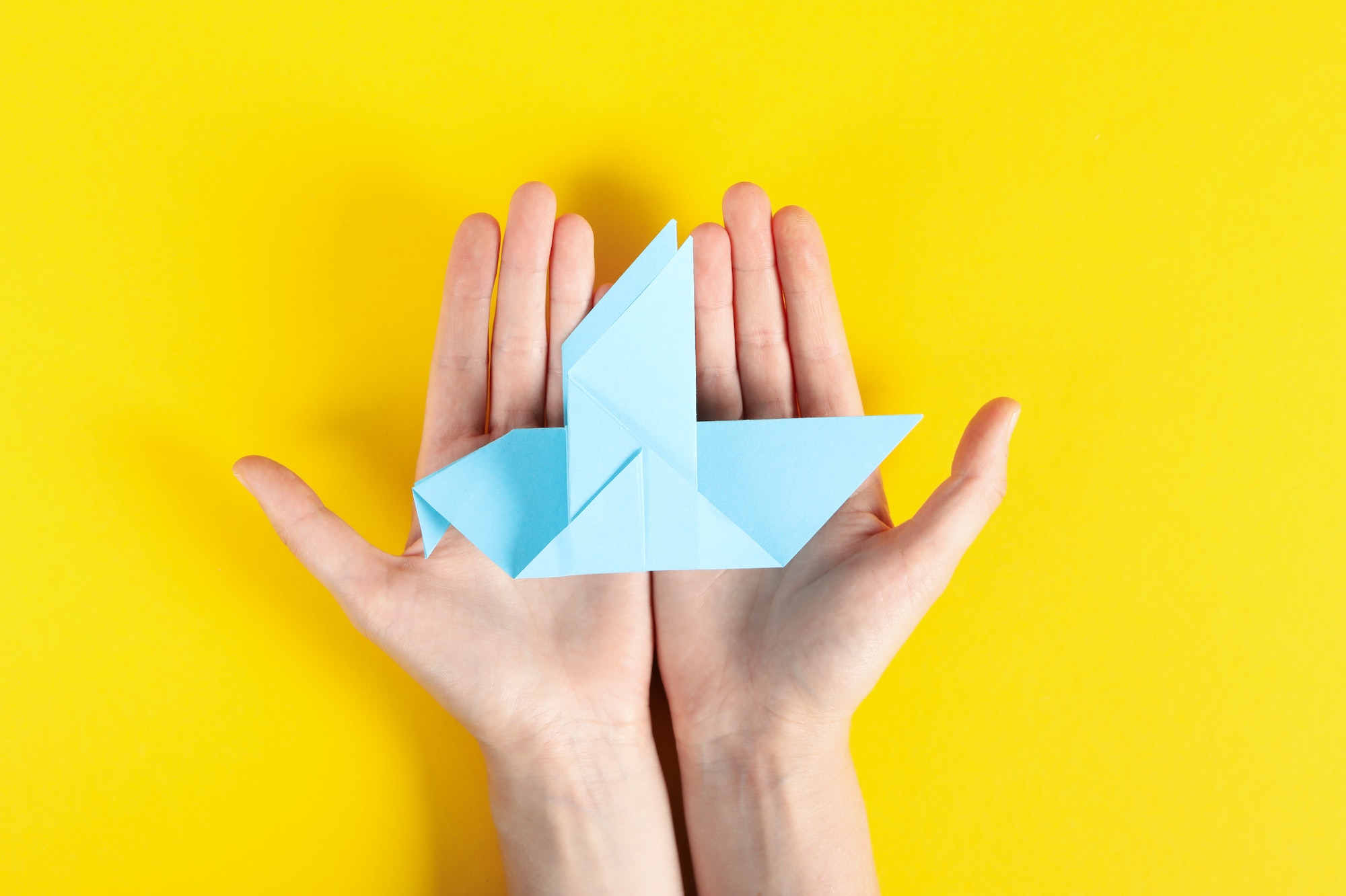 Female hands hold blue paper bird on yellow background